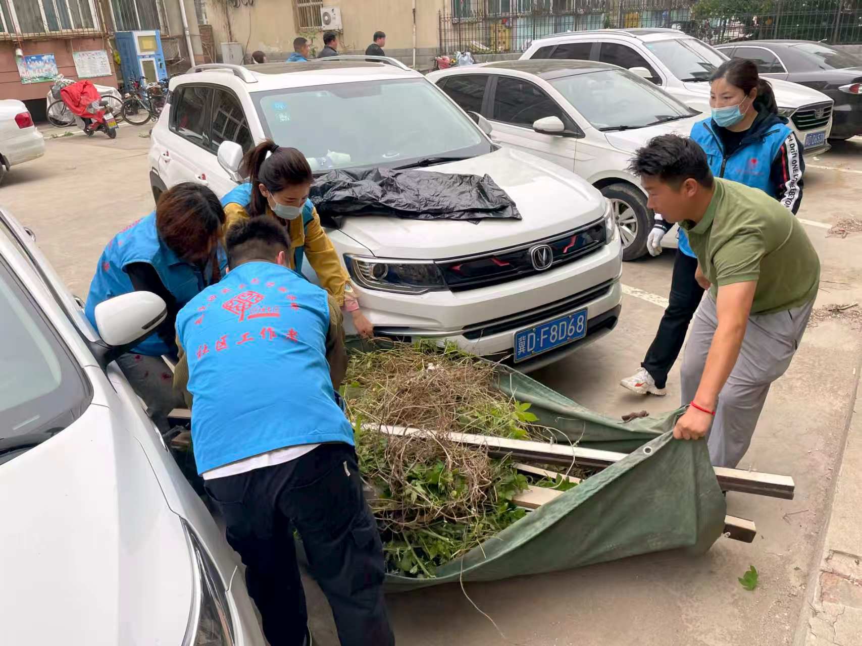 身穿马甲的志愿者合力搬运清理出的枝叶和杂物