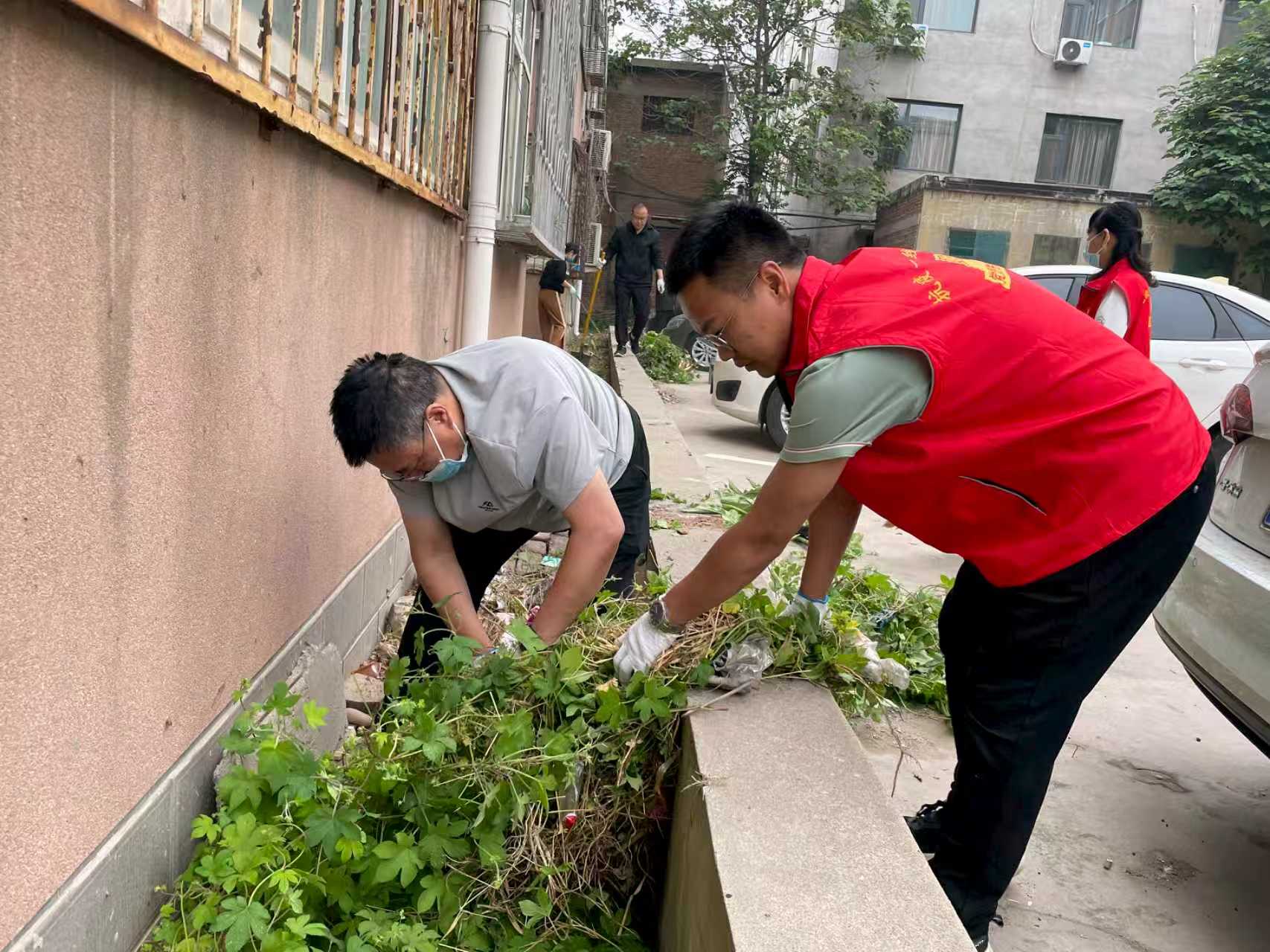 社区志愿者清理绿化带周边杂物